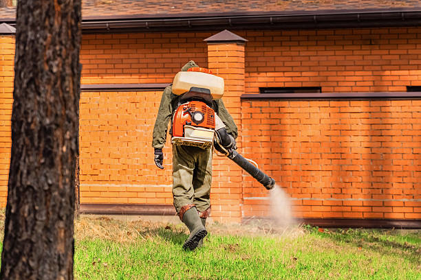 Trusted Cockroach Control service in Dentsville, SC - Nex Pest Control